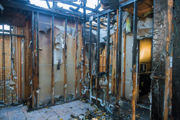 Professional Soot Cleanup technician working in Saint James City, FL