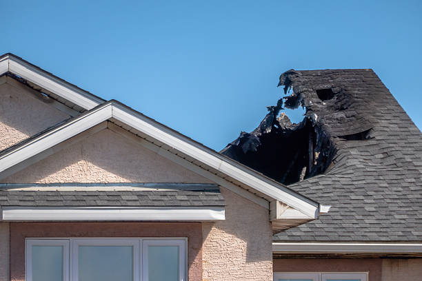 Top rated local Soot Cleanup specialists in Saint James City, FL